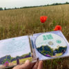 CD-Box "Erzähl mal" in blusebunt (physisches Produkt) – Bild 2