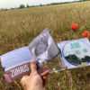 CD-Box "Erzähl mal" in blusebunt (physisches Produkt) – Bild 3